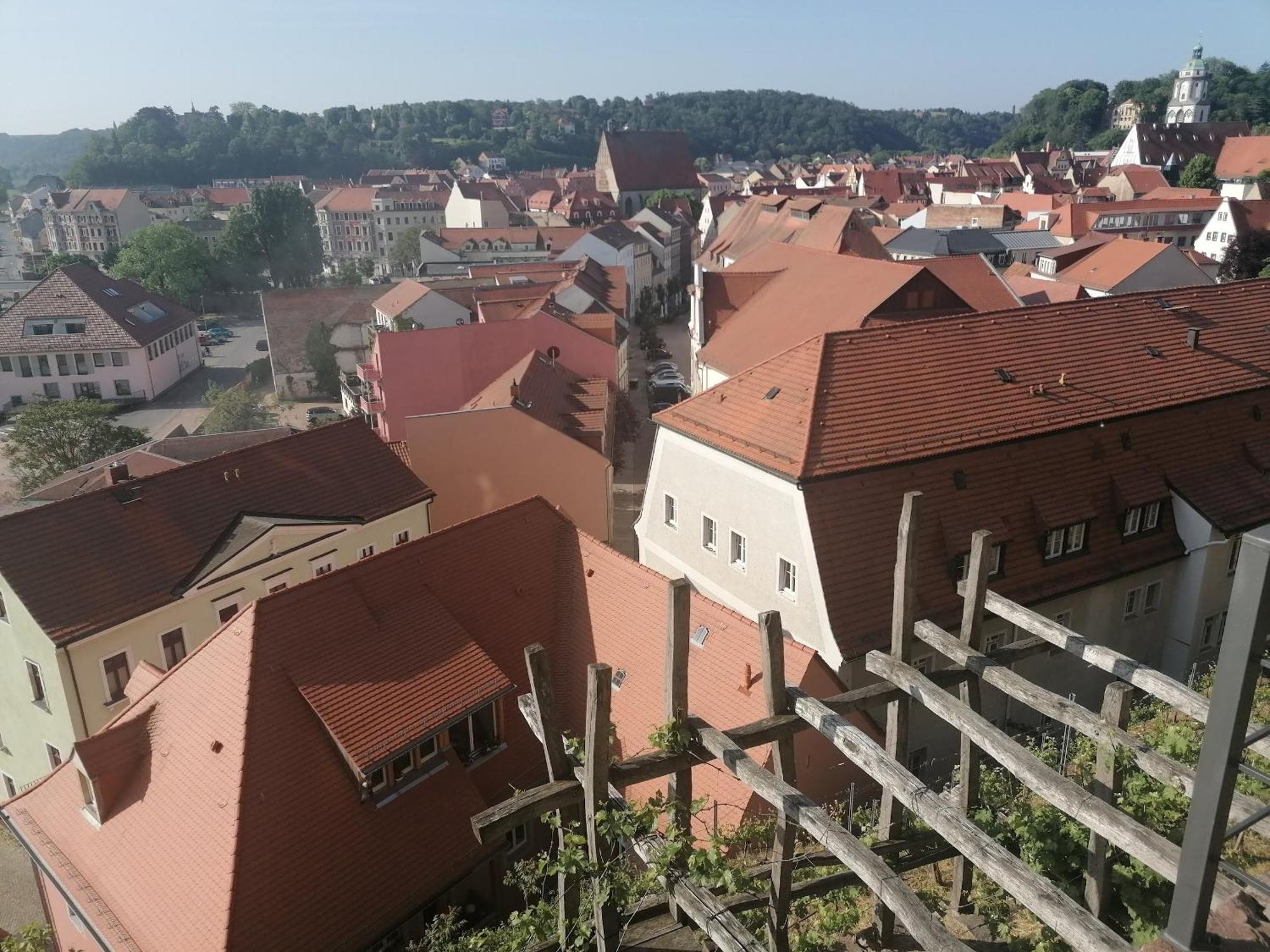 Pension Anja Heil Meißen Exteriör bild